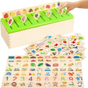 Wooden Montessori Sorting Toys Preschool Kinder